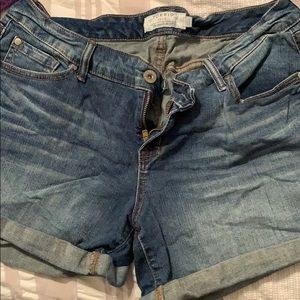 Torrid shorts
